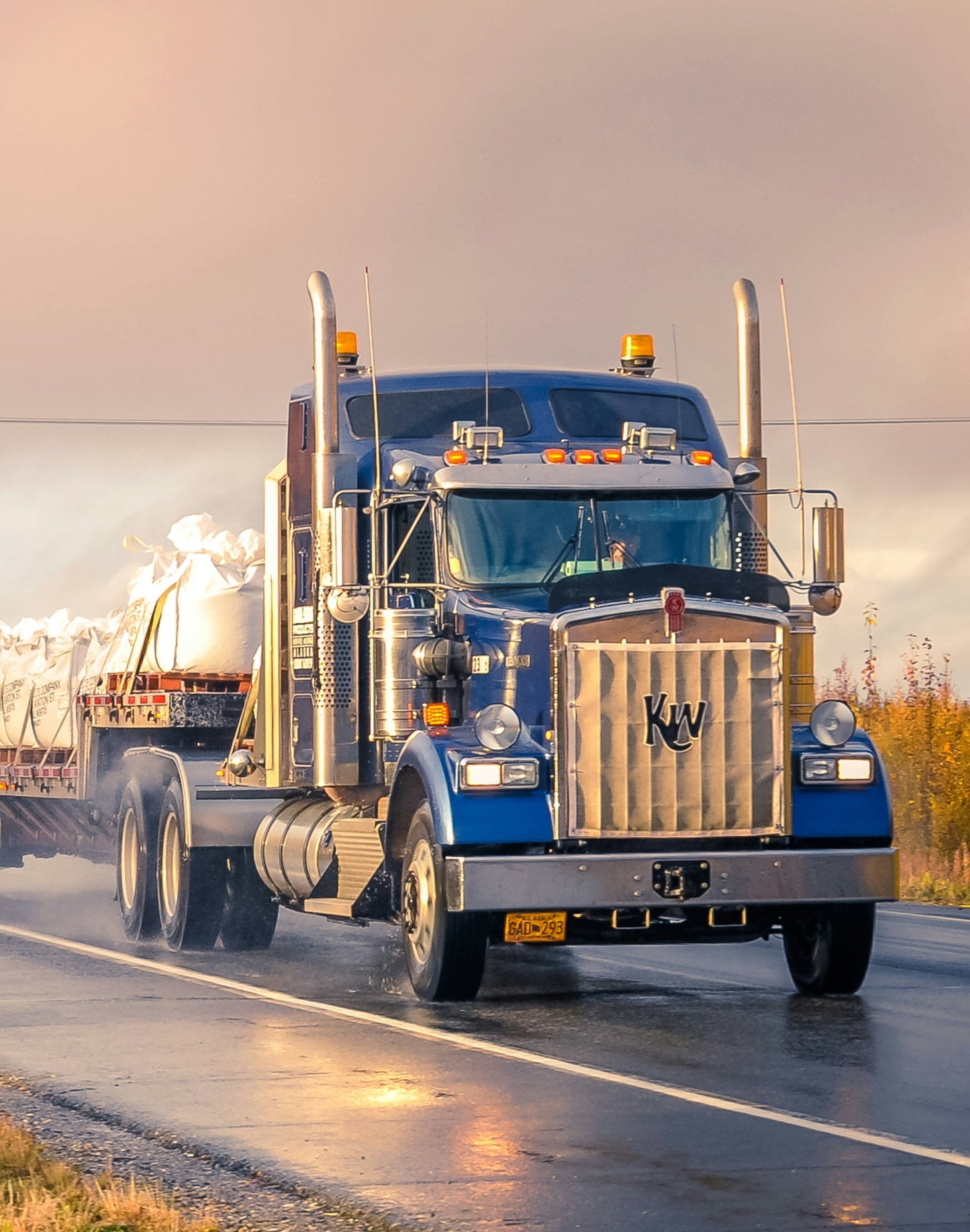 Heavy Duty Diesel - Second Opinion
